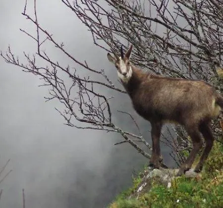 Aux Jardins D'argiles
