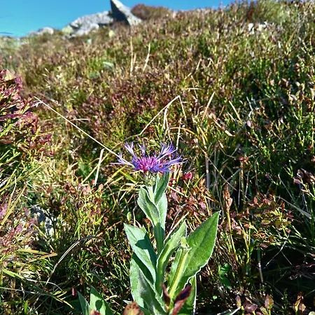 Aux Jardins D'argiles Appartamento Buhl